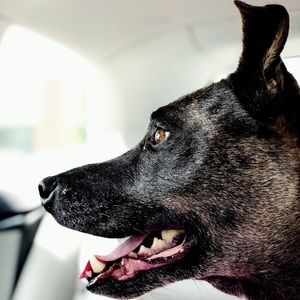 Meet your Posher, Sean